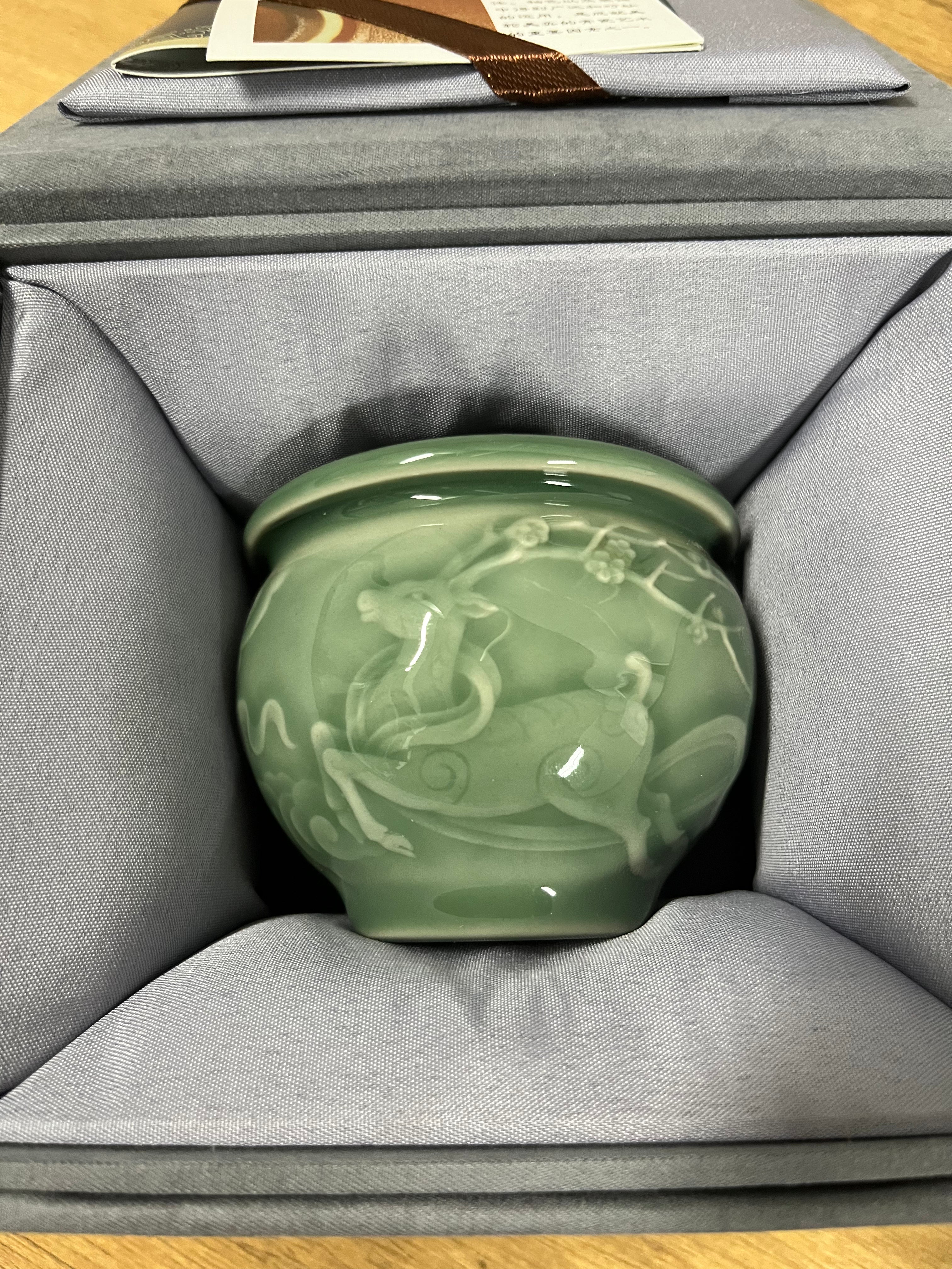 2026.8.8(teacup)